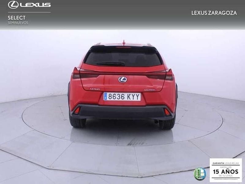 Usado Lexus UX 250h Business Edition 184 CV (135 kW) 2019 Rojo SUV