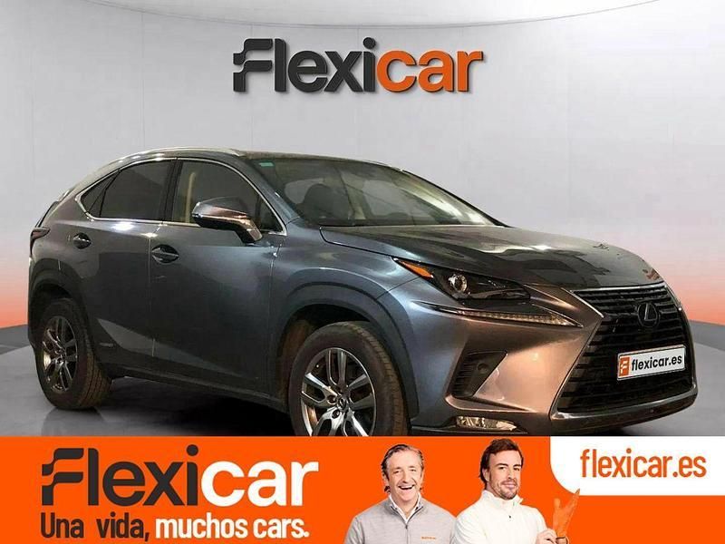 Usado Lexus NX300h Executive Line 197 CV (144 kW) 2019 Gris SUV