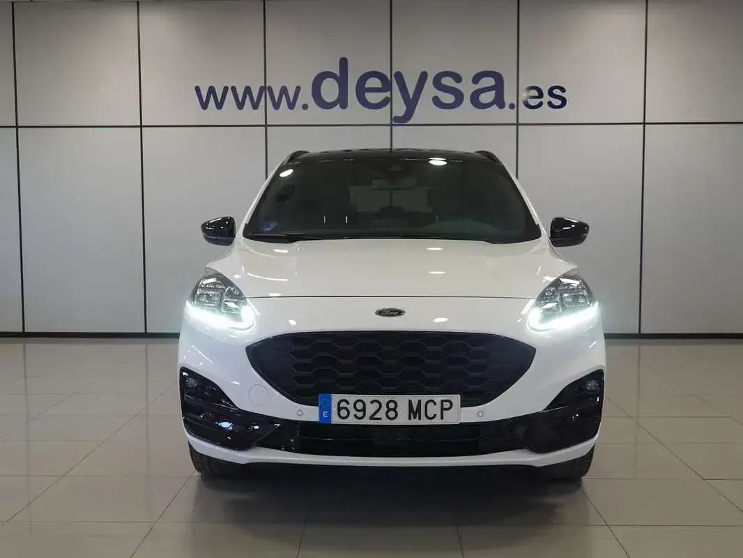 Usado Ford Kuga ST-Line X 224 CV (164 kW) 2022 Blanco SUV