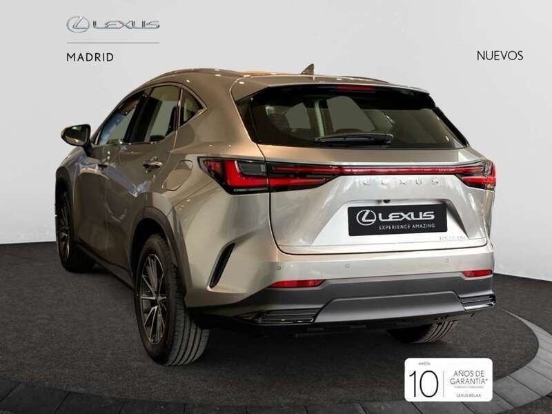 Nuevo Lexus NX350h 242 CV (177 kW) 2025 Gris SUV