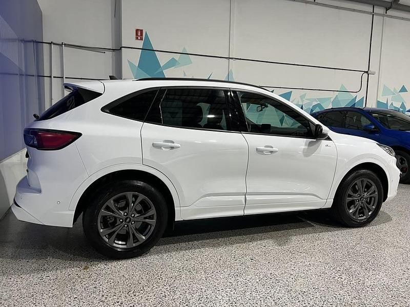 Usado Ford Kuga ST-Line 225 CV (165 kW) 2024 Blanco SUV