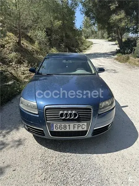 Usado Audi A6 170 CV (125 kW) 2007 Azul Familiar