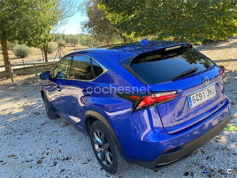 Usado Lexus NX300h Sport Line 197 CV (144 kW) 2015 Azul SUV