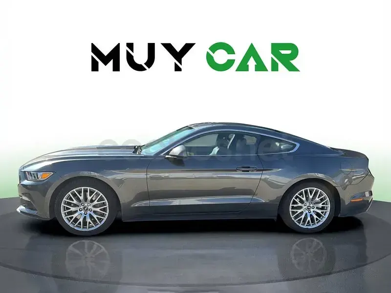 Usado Ford Mustang Fastback 314 CV (230 kW) 2016 Rojo Coupe