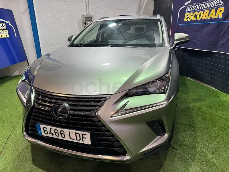 Usado Lexus NX300h Executive Line 197 CV (144 kW) 2019 Gris / plata SUV