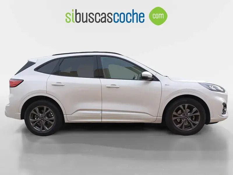 Usado Ford Kuga ST-Line 150 CV (110 kW) 2021 Blanco SUV