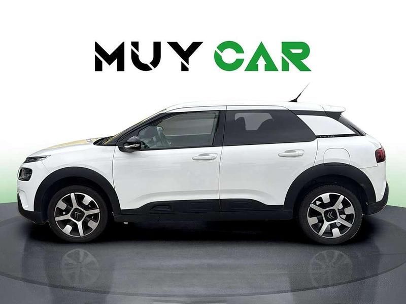 Usado Citroën C4 Cactus PureTech 110 CV (80 kW) 2019 Gris Utilitario