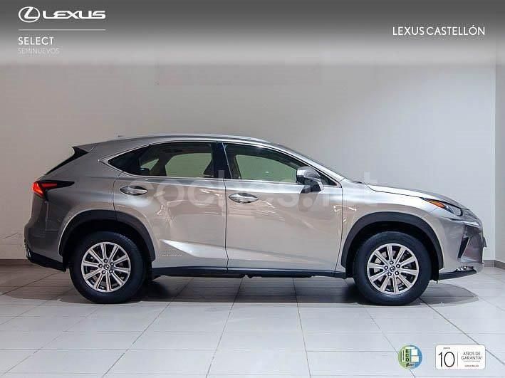 Usado Lexus NX300h Business Edition 197 CV (144 kW) 2019 Gris / plata SUV
