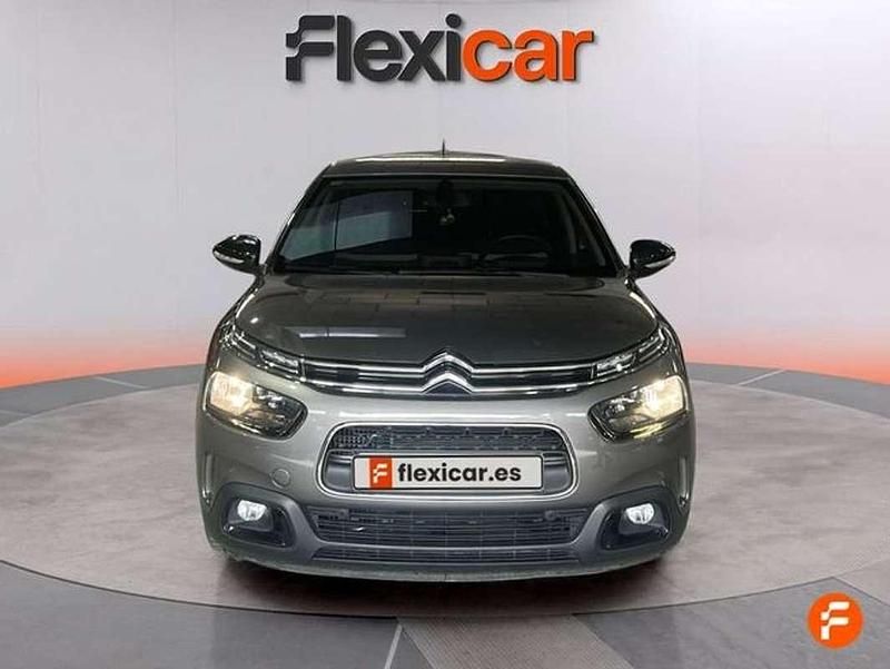 Usado Citroën C4 Cactus PureTech 110 CV (80 kW) 2020 Gris Utilitario