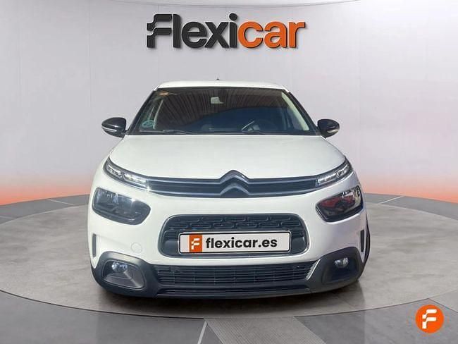 Usado Citroën C4 Cactus Feel 102 CV (75 kW) 2019 Blanco Utilitario