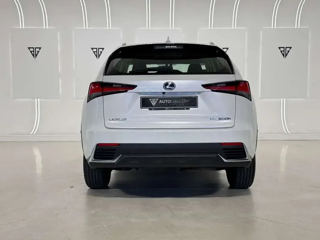 Usado Lexus NX300h Business Edition 197 CV (144 kW) 2019 Blanco SUV