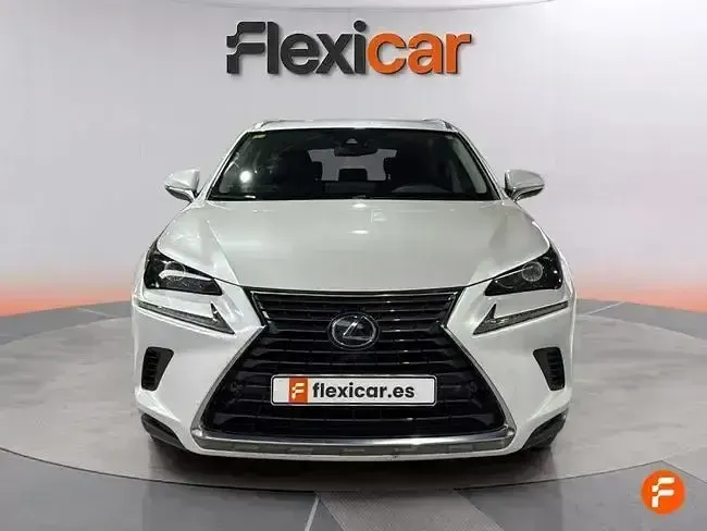 Usado Lexus NX300h Business Edition 197 CV (144 kW) 2020 Blanco SUV