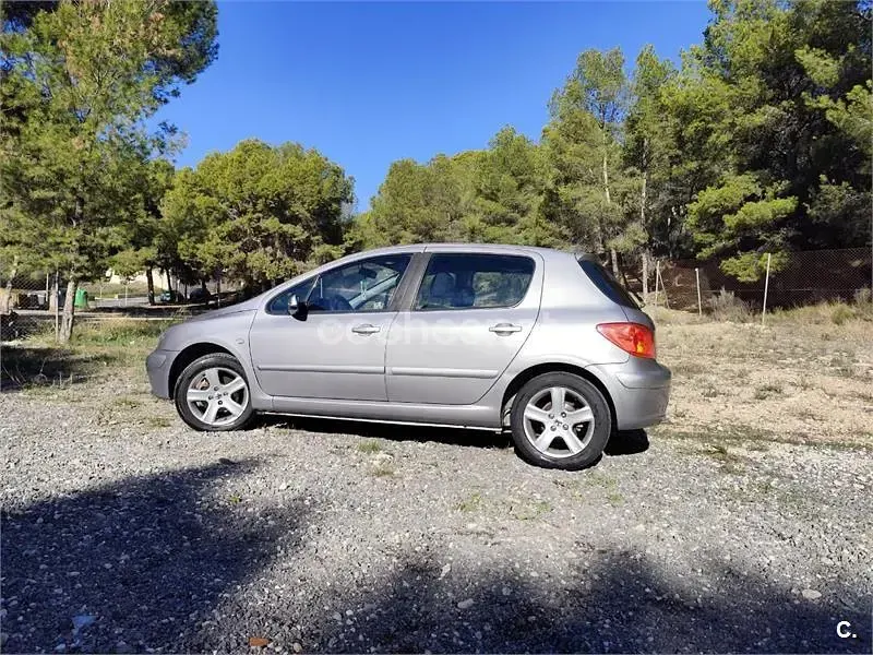 Usado Peugeot 307 110 CV (80 kW) 2002 Gris / plata Berlina