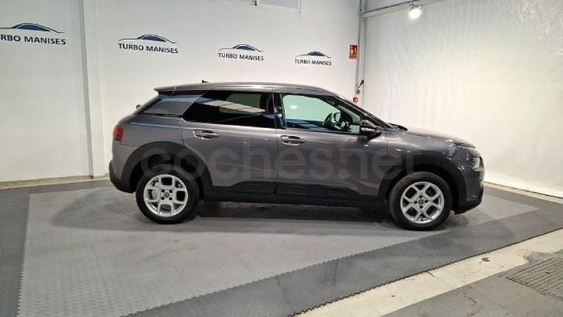 Usado Citroën C4 Cactus Shine 102 CV (75 kW) 2023 Blanco Utilitario