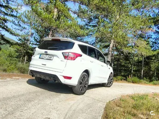 Usado Ford Kuga ST-Line 120 CV (88 kW) 2018 Blanco SUV