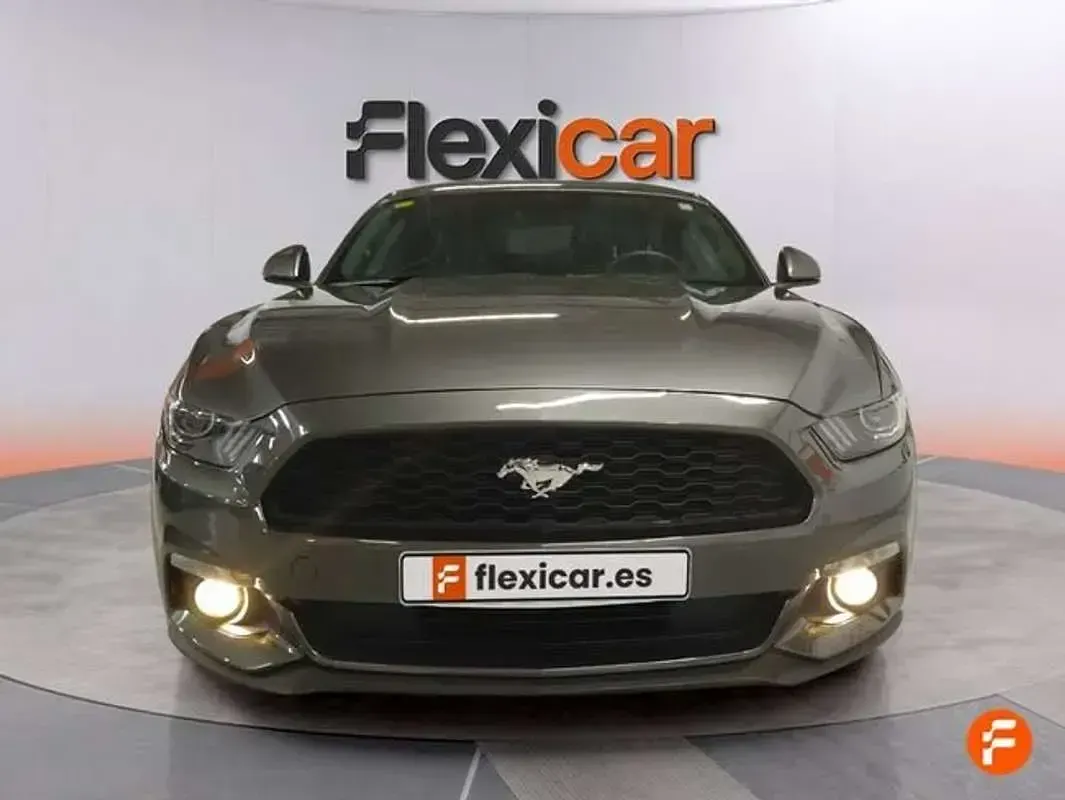 Usado Ford Mustang Fastback 314 CV (230 kW) 2016 Gris Coupe