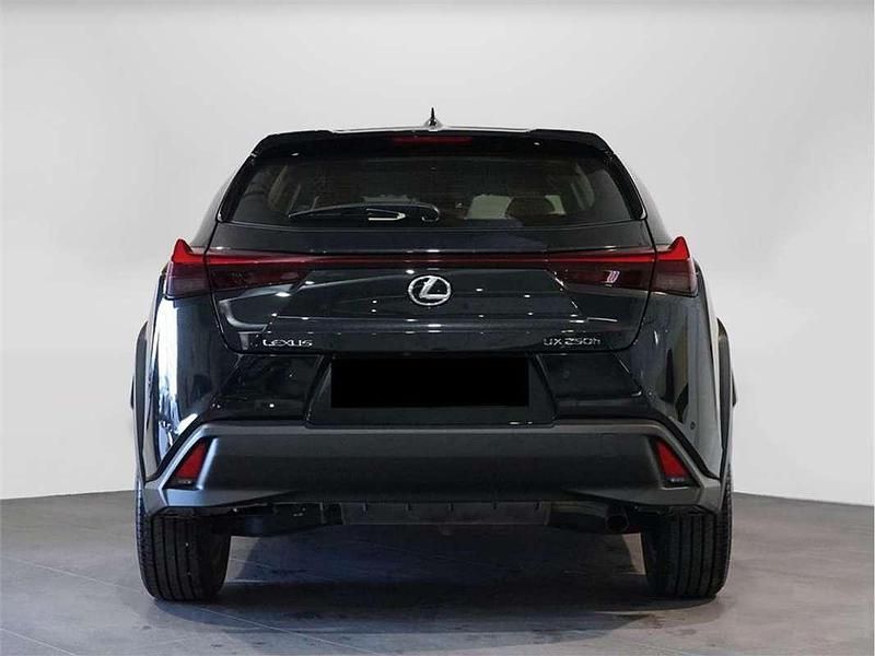 Usado Lexus UX 250h 184 CV (135 kW) 2023 SUV