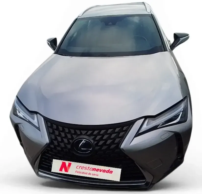 Usado Lexus UX Business Edition 184 CV (135 kW) 2022 Gris SUV