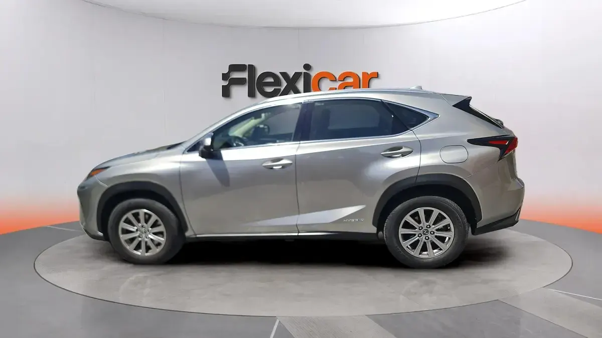 Usado Lexus NX300h Business Edition 197 CV (144 kW) 2020 Gris SUV