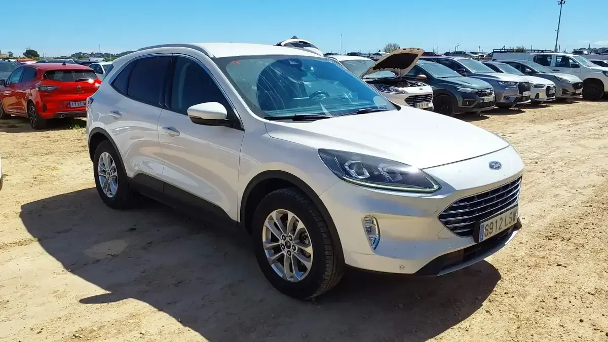 Usado Ford Kuga Titanium 226 CV (166 kW) 2021 Blanco SUV