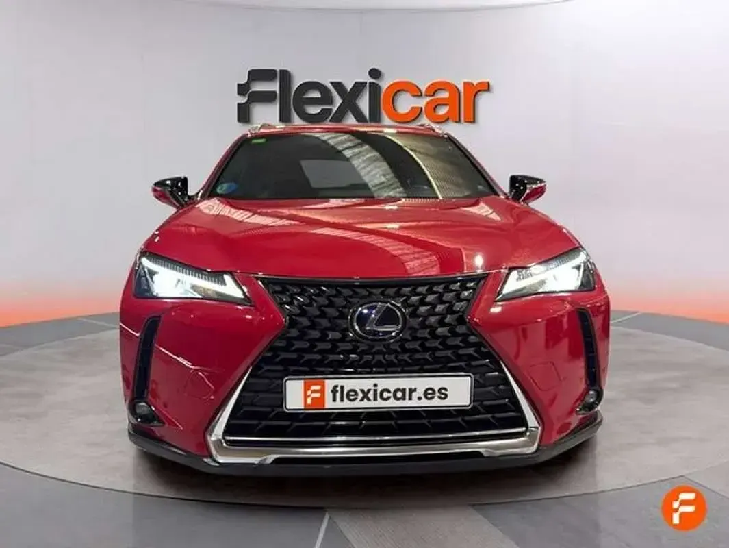 Usado Lexus UX 250h Business Edition 184 CV (135 kW) 2019 Rojo SUV