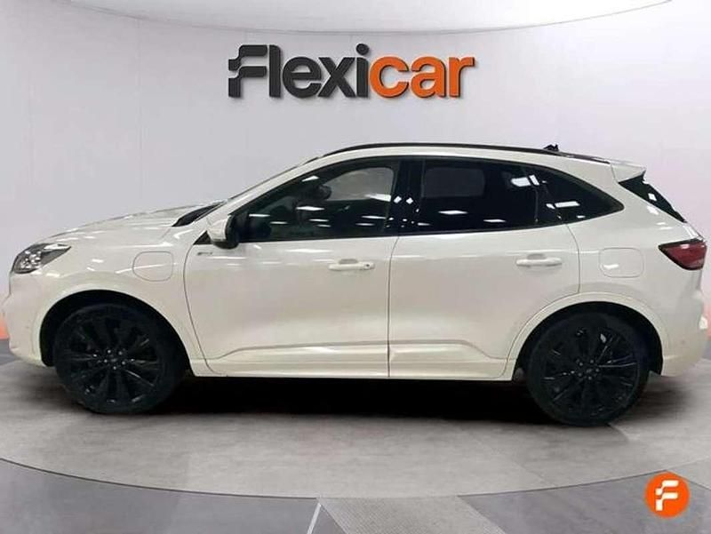 Usado Ford Kuga ST-Line X 227 CV (166 kW) 2021 Blanco SUV