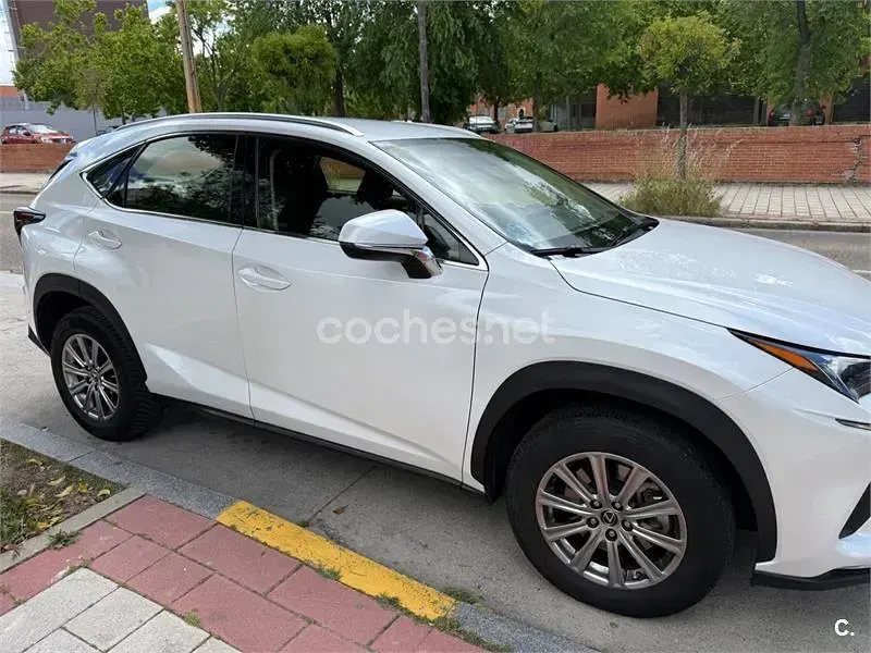Usado Lexus NX300h Business Edition 197 CV (144 kW) 2020 Blanco SUV