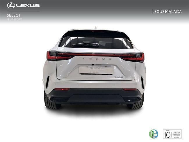 Nuevo Lexus NX350h Executive Line 197 CV (144 kW) 2025 Blanco SUV