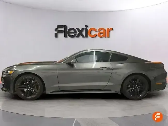 Usado Ford Mustang Fastback 310 CV (228 kW) 2016 Gris Coupe