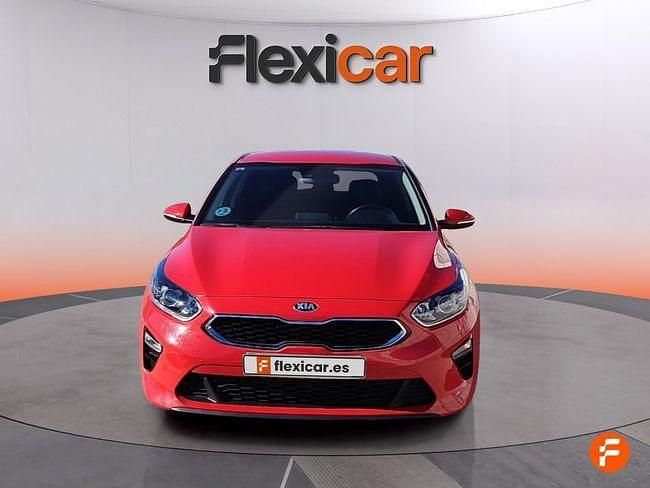 Usado Kia Ceed 120 CV (88 kW) 2019 Rojo Utilitario