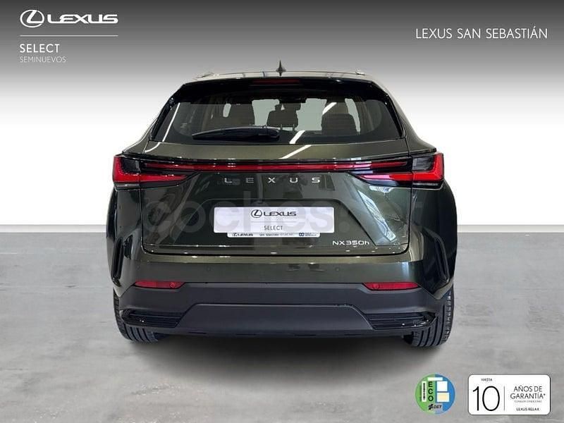 Usado Lexus NX350h 197 CV (144 kW) 2025 Verde SUV