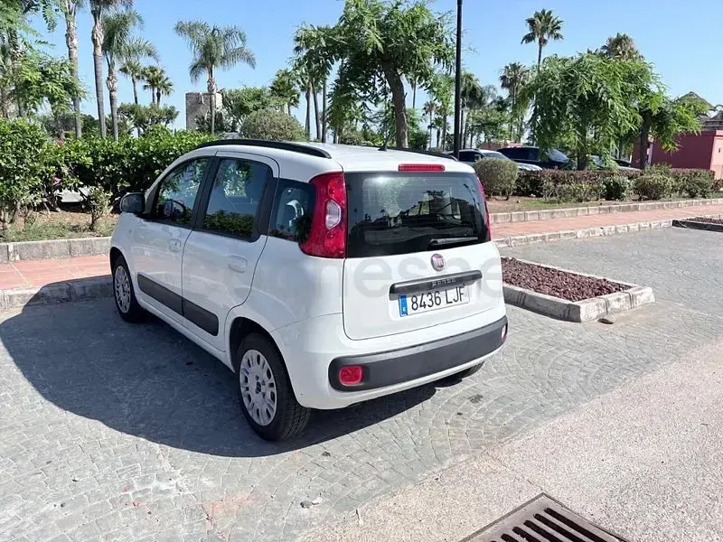 Usado Fiat Panda Lounge 69 CV (50 kW) 2020 Blanco Utilitario