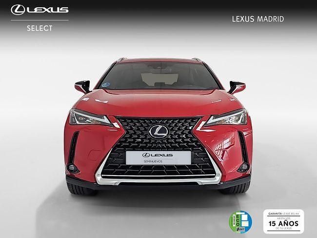 Usado Lexus UX Business Edition 183 CV (134 kW) 2022 Rojo SUV
