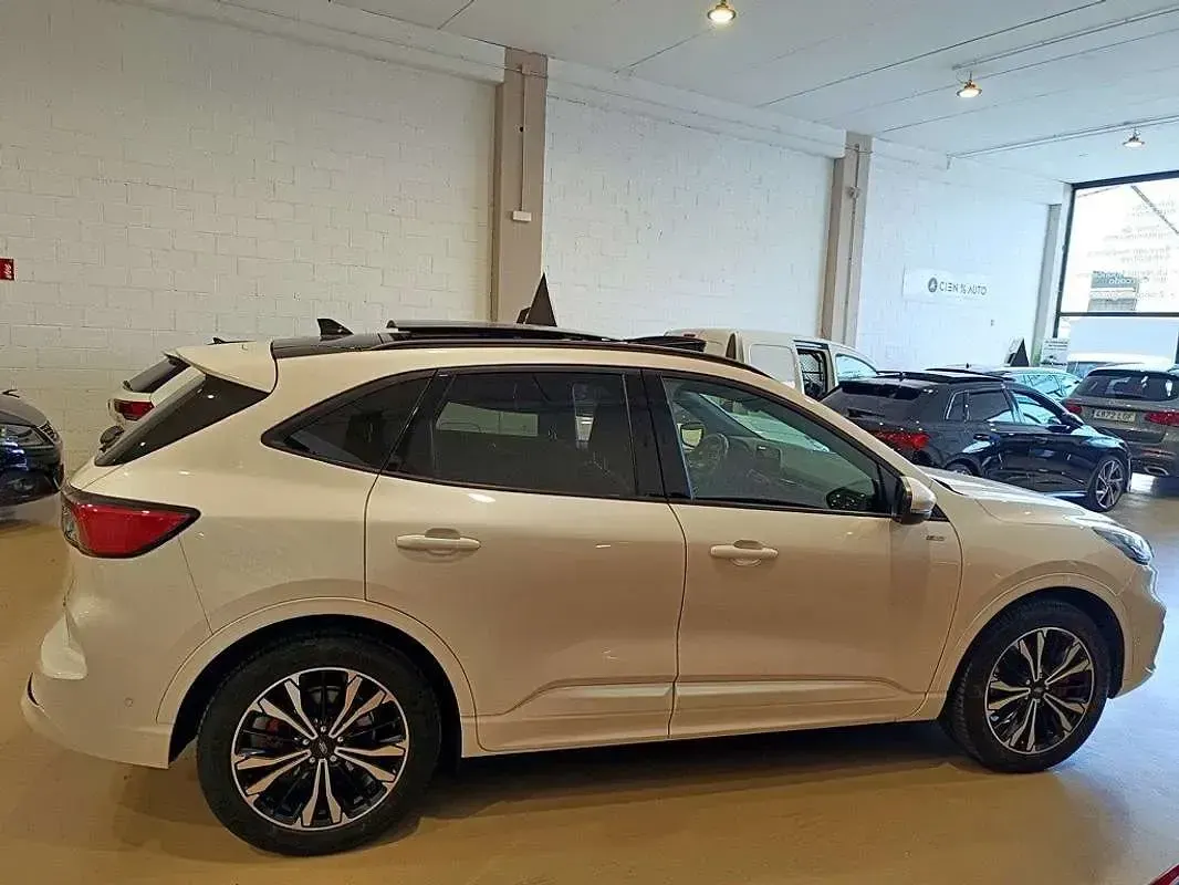 Usado Ford Kuga ST-Line 226 CV (166 kW) 2021 Blanco SUV