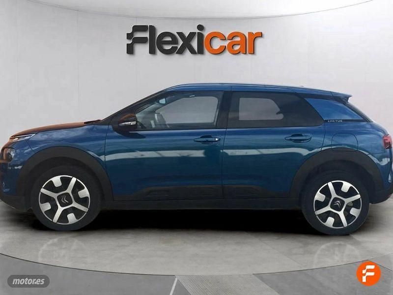 Usado Citroën C4 Cactus Shine 102 CV (75 kW) 2019 Azul Utilitario
