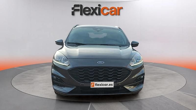 Usado Ford Kuga ST-Line 120 CV (88 kW) 2024 Gris SUV