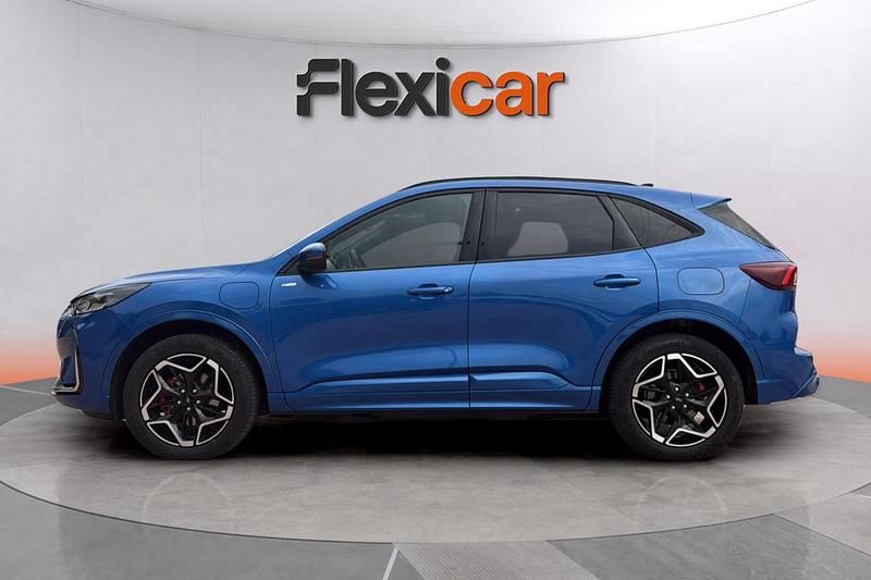 Usado Ford Kuga ST-Line 243 CV (178 kW) 2025 Azul SUV