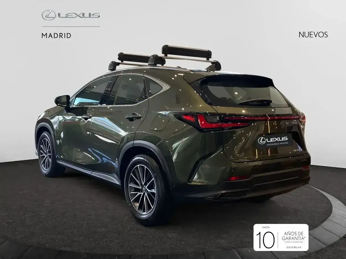 Nuevo Lexus NX350h 242 CV (177 kW) 2025 Verde