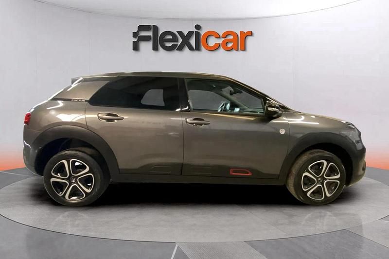 Usado Citroën C4 Cactus 102 CV (75 kW) 2020 Gris Utilitario