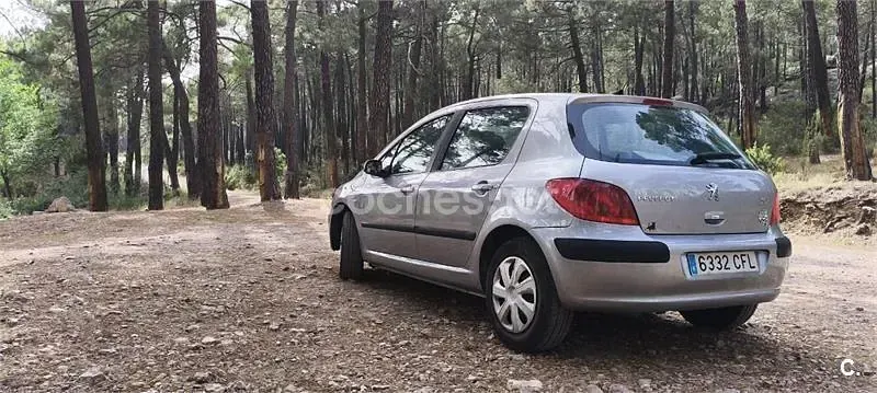 Usado Peugeot 307 110 CV (80 kW) 2003 Gris / plata Berlina