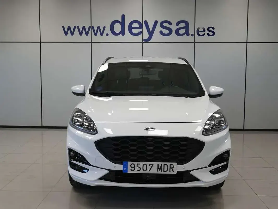 Usado Ford Kuga ST-Line 224 CV (164 kW) 2023 Blanco SUV