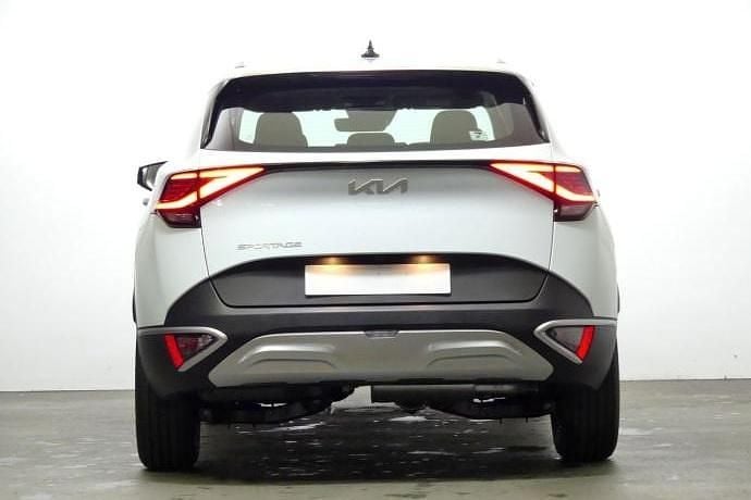 Usado Kia Sportage 150 CV (110 kW) 2024 SUV