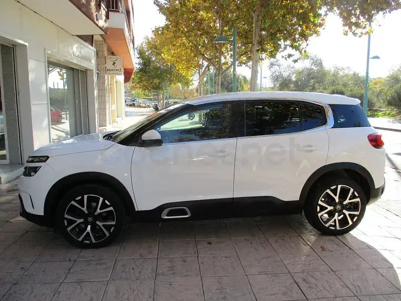 Usado Citroën C5 Aircross Feel 131 CV (96 kW) 2020 Blanco SUV