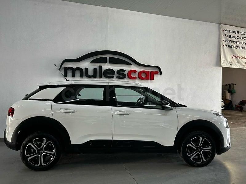 Usado Citroën C4 Cactus Feel 102 CV (75 kW) 2019 Blanco Utilitario