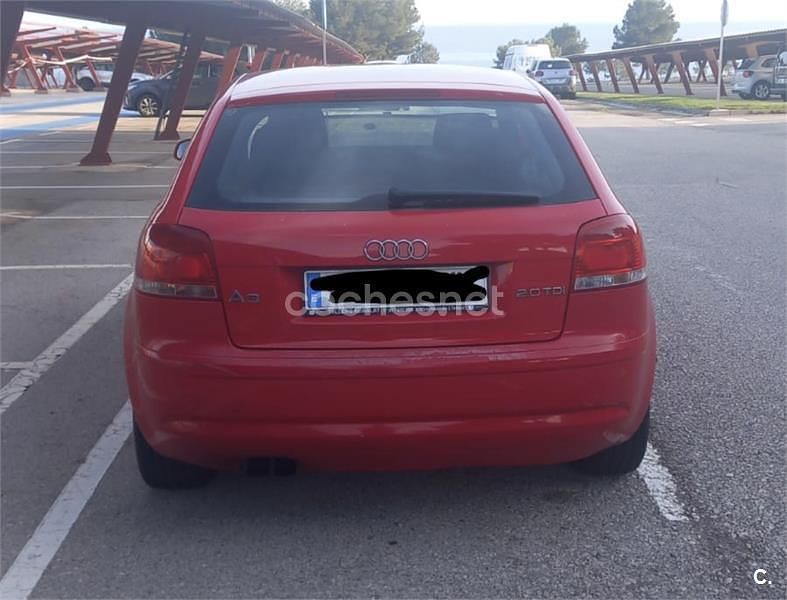 Usado Audi A3 Ambition 140 CV (102 kW) 2004 Rojo Utilitario