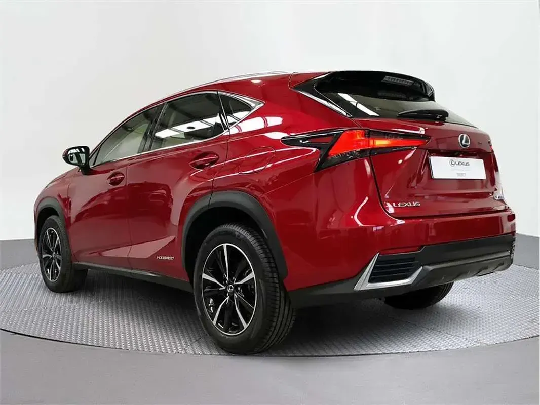 Usado Lexus NX300h Business Edition 197 CV (144 kW) 2017 SUV