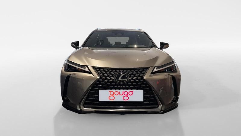 Usado Lexus UX 199 CV (146 kW) 2025 SUV