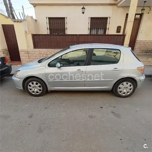 Usado Peugeot 307 90 CV (66 kW) 2005 Gris / plata Familiar
