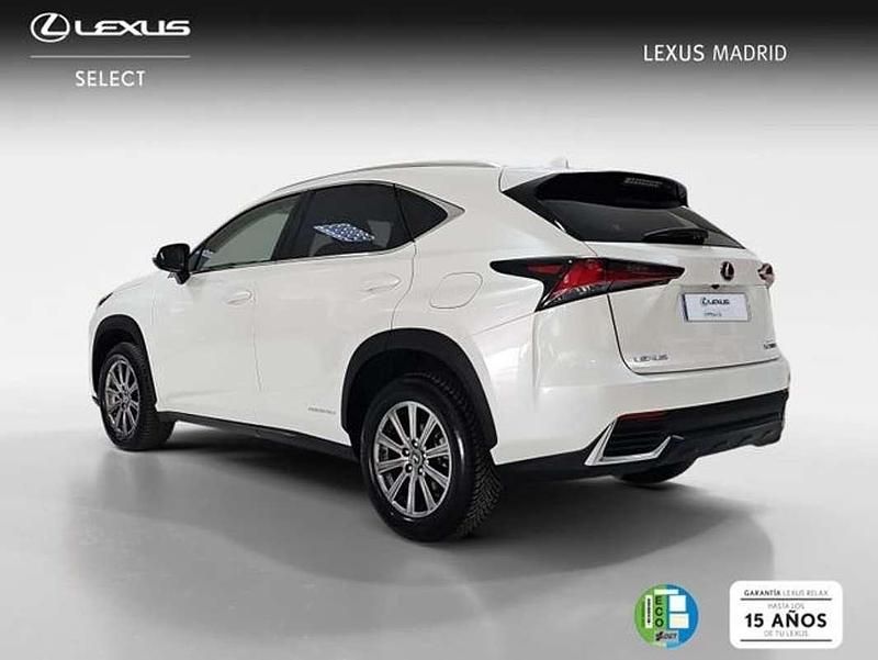 Usado Lexus NX300h Business Edition 197 CV (144 kW) 2019 Blanco SUV