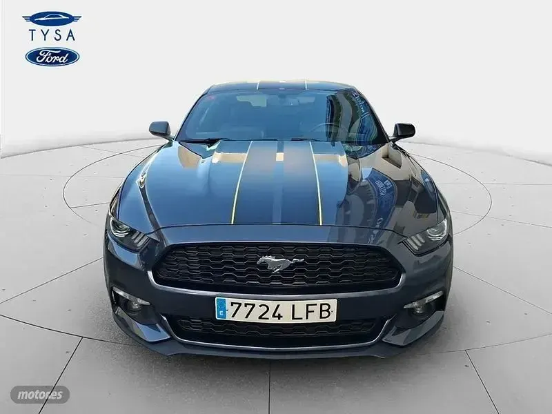Usado Ford Mustang Fastback 314 CV (230 kW) 2017 Gris Coupe